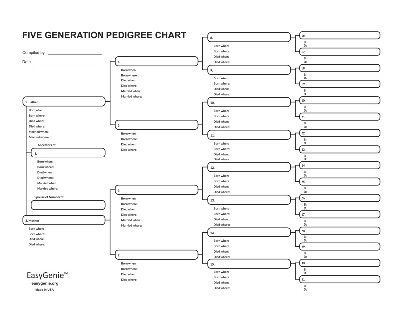 8 Generation Genealoy Chart